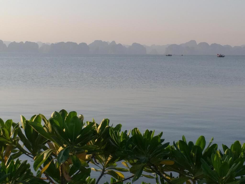 Apartamento Cozy House Ha Long Exterior foto